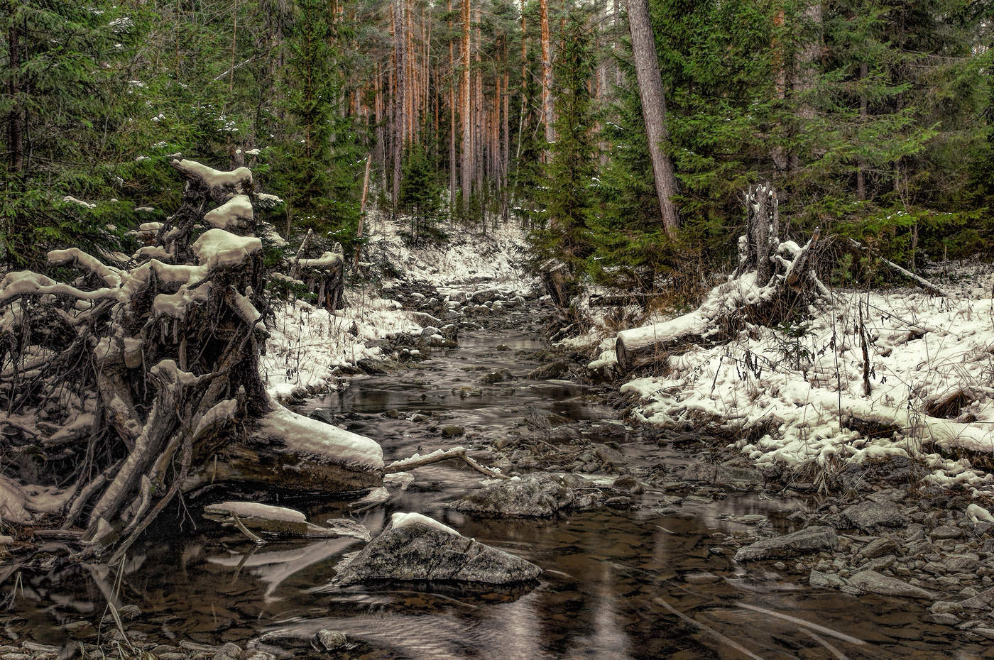 Первый снег