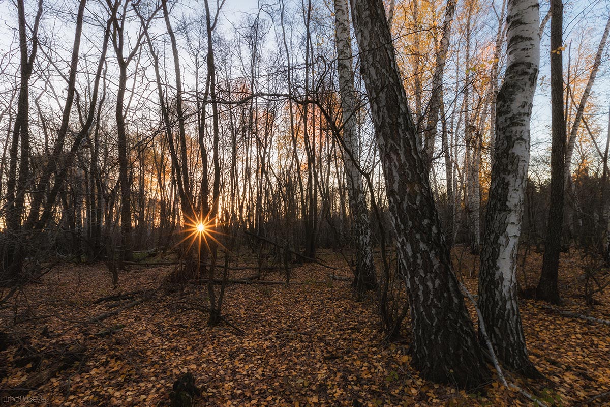 Звезда по имени Солнце