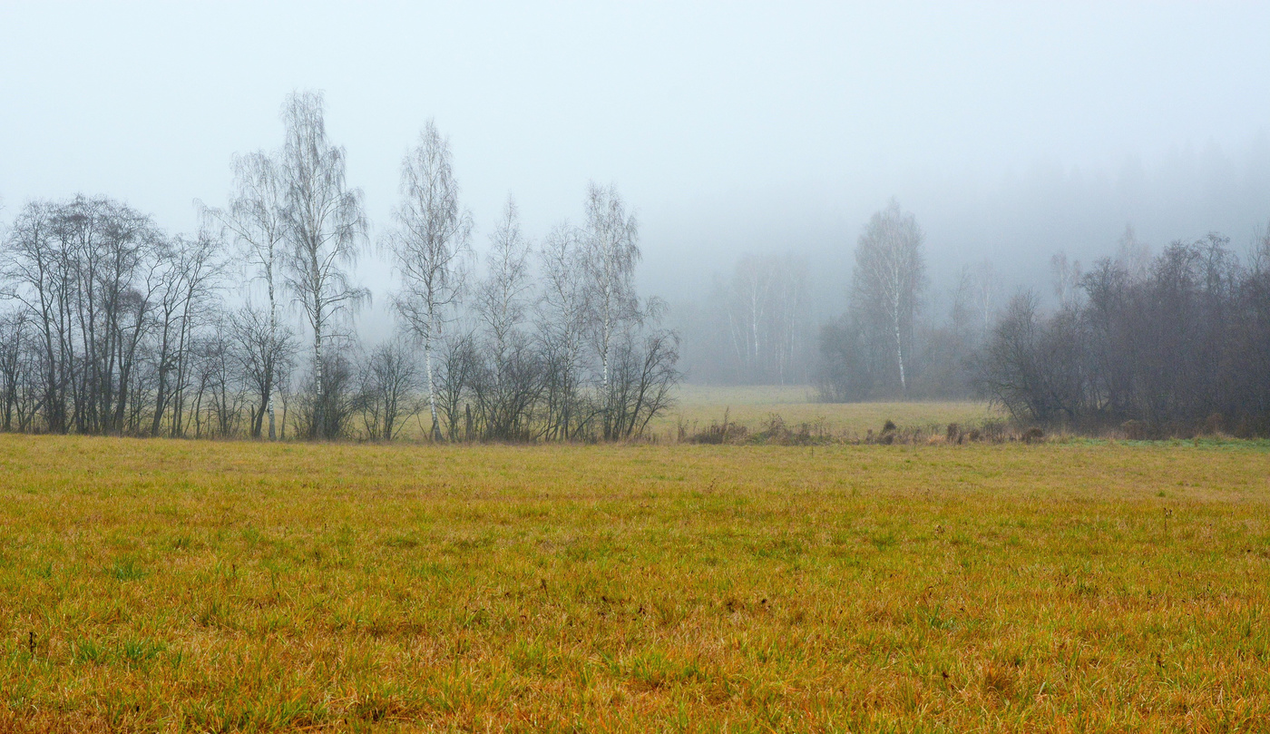 "Уж роща отряхает последние листы с нагих своих ветвей..."