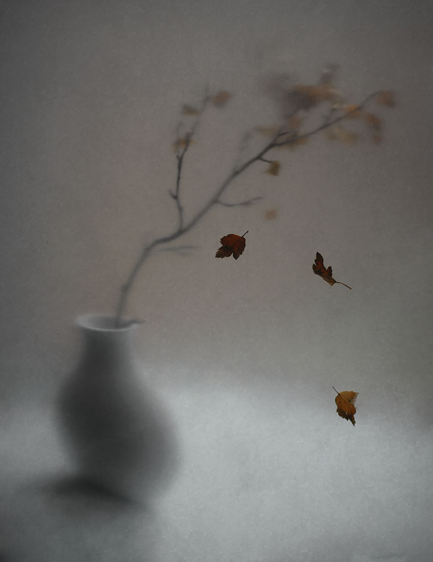 Облетает ноябрь