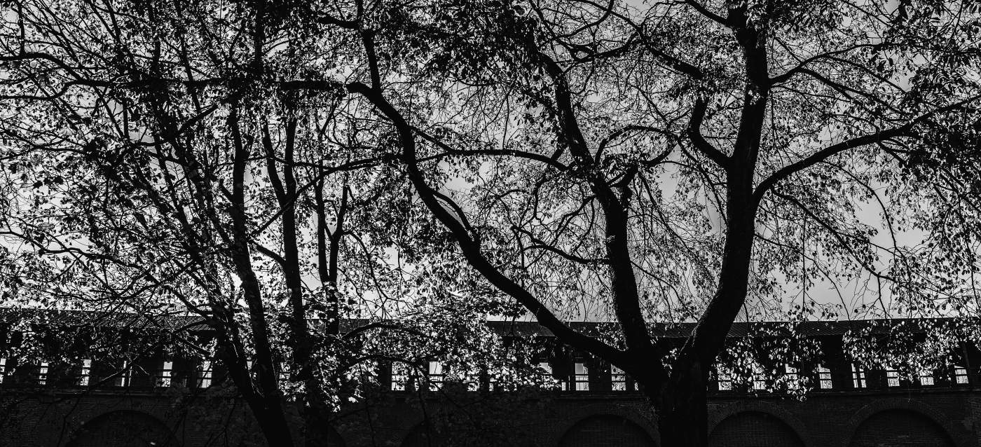 Графика поздней осени.