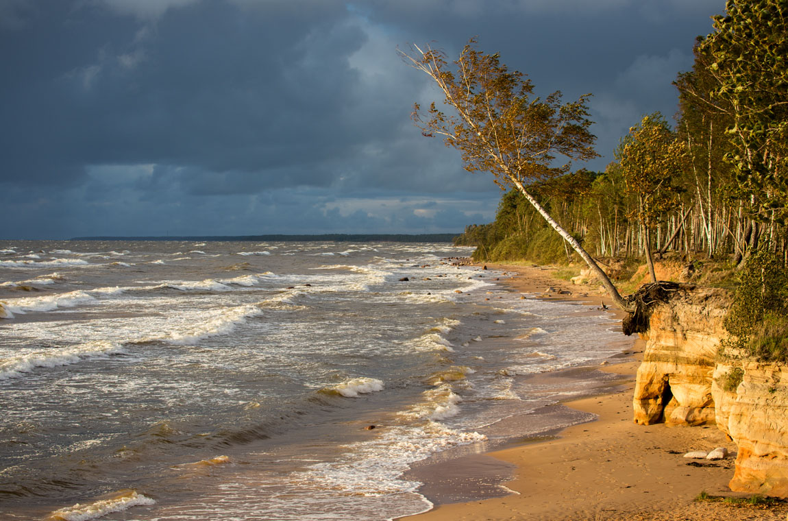 Свежий ветер