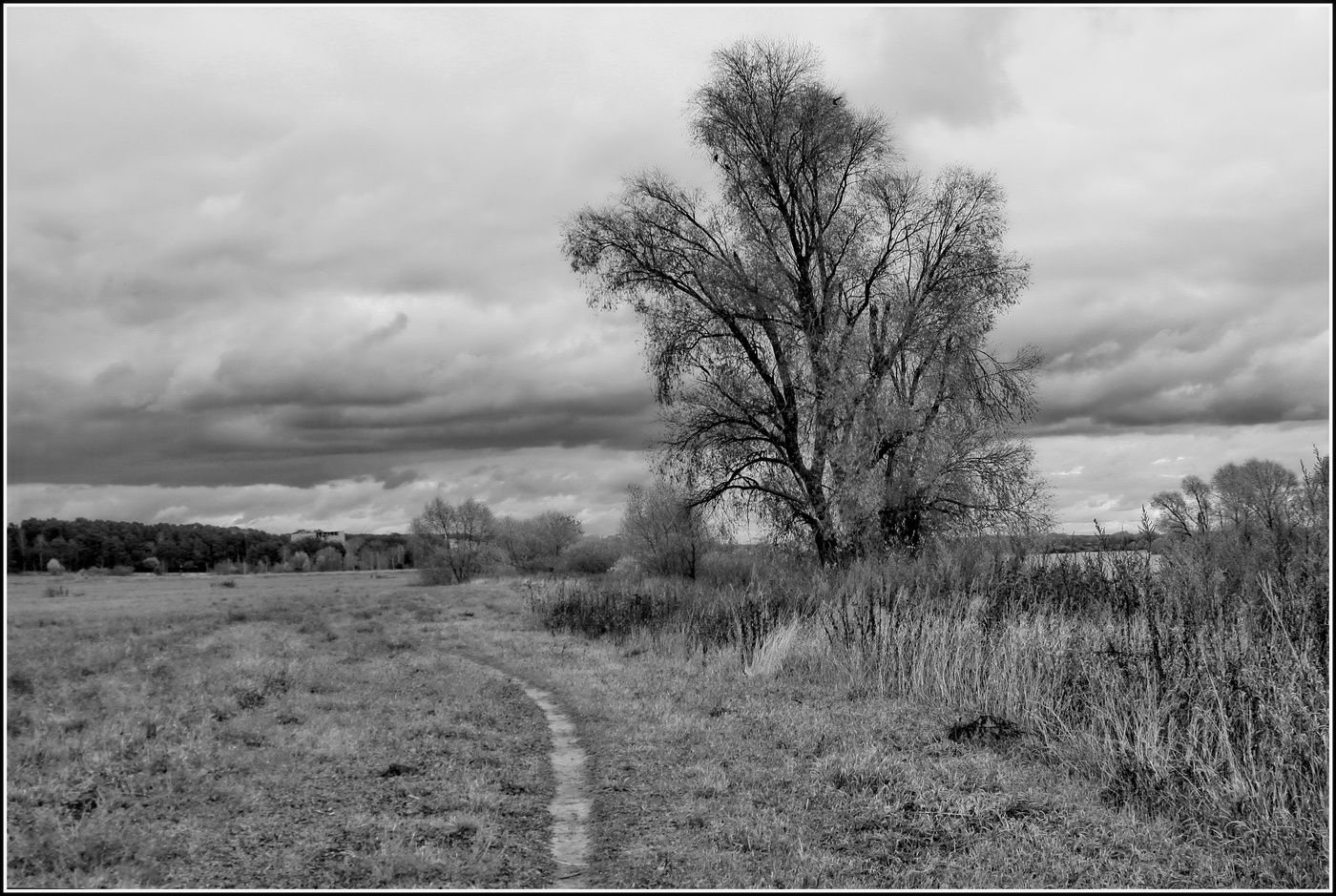 монохромное настроение