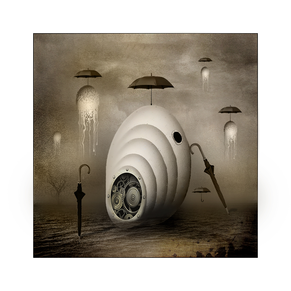 из жизни зонтичных