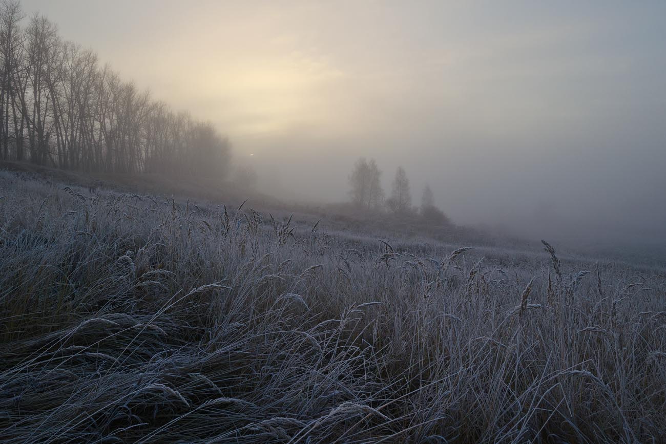 Ноябрьские утренники