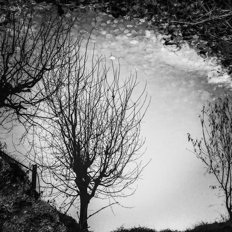 "..аблетееелиии лииистьяяя с тополеееей...")