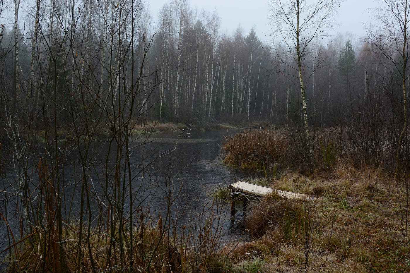 "Лесов таинственная сень с печальным шумом обнажалась..."