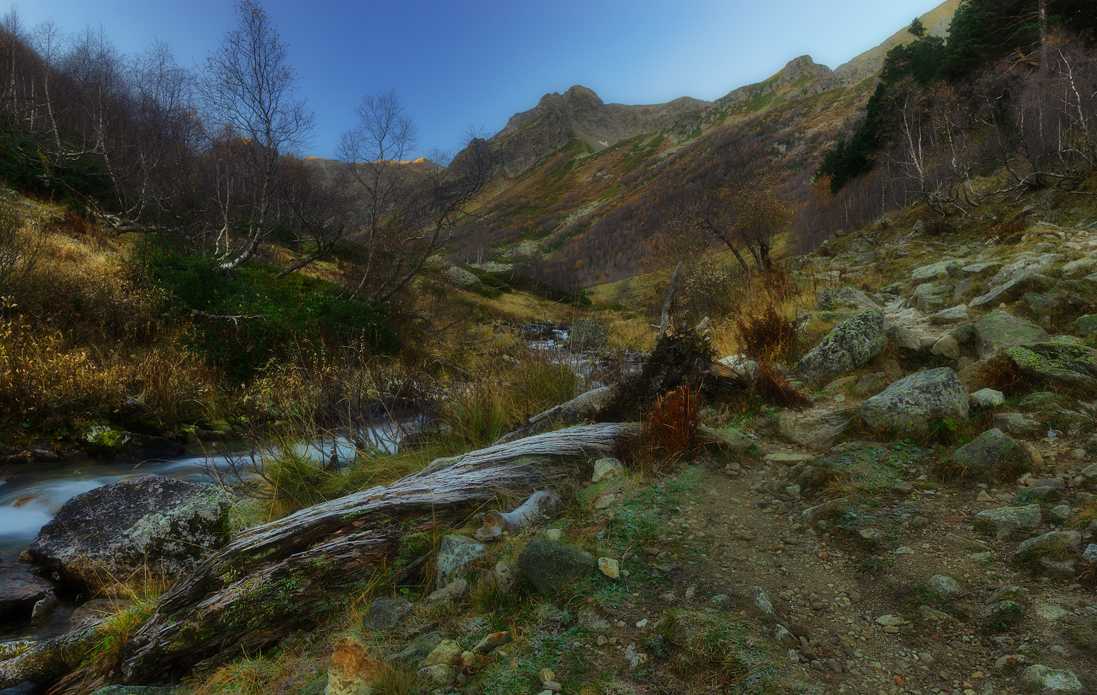 Ранним утром