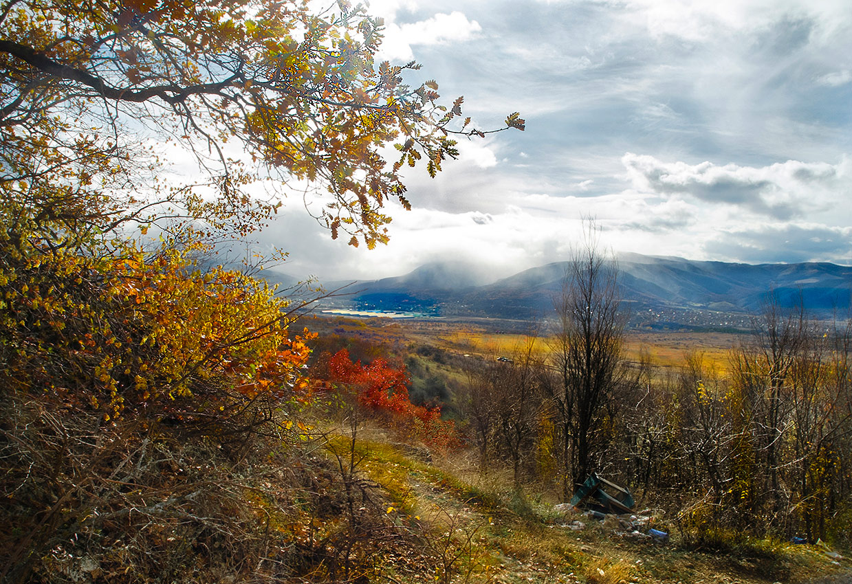 Хмурый лень.