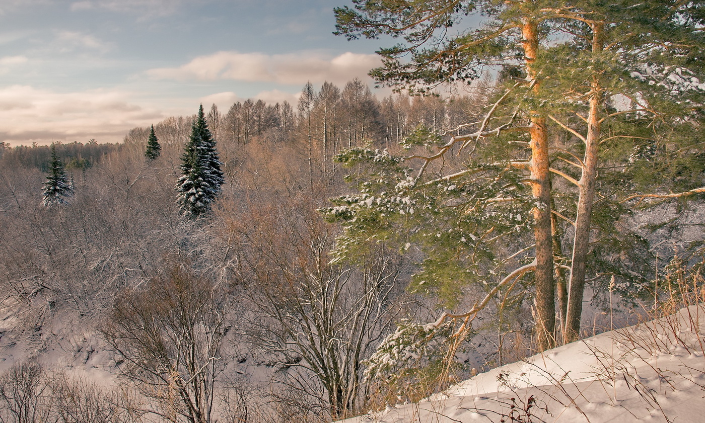 Ноябрьским днём.