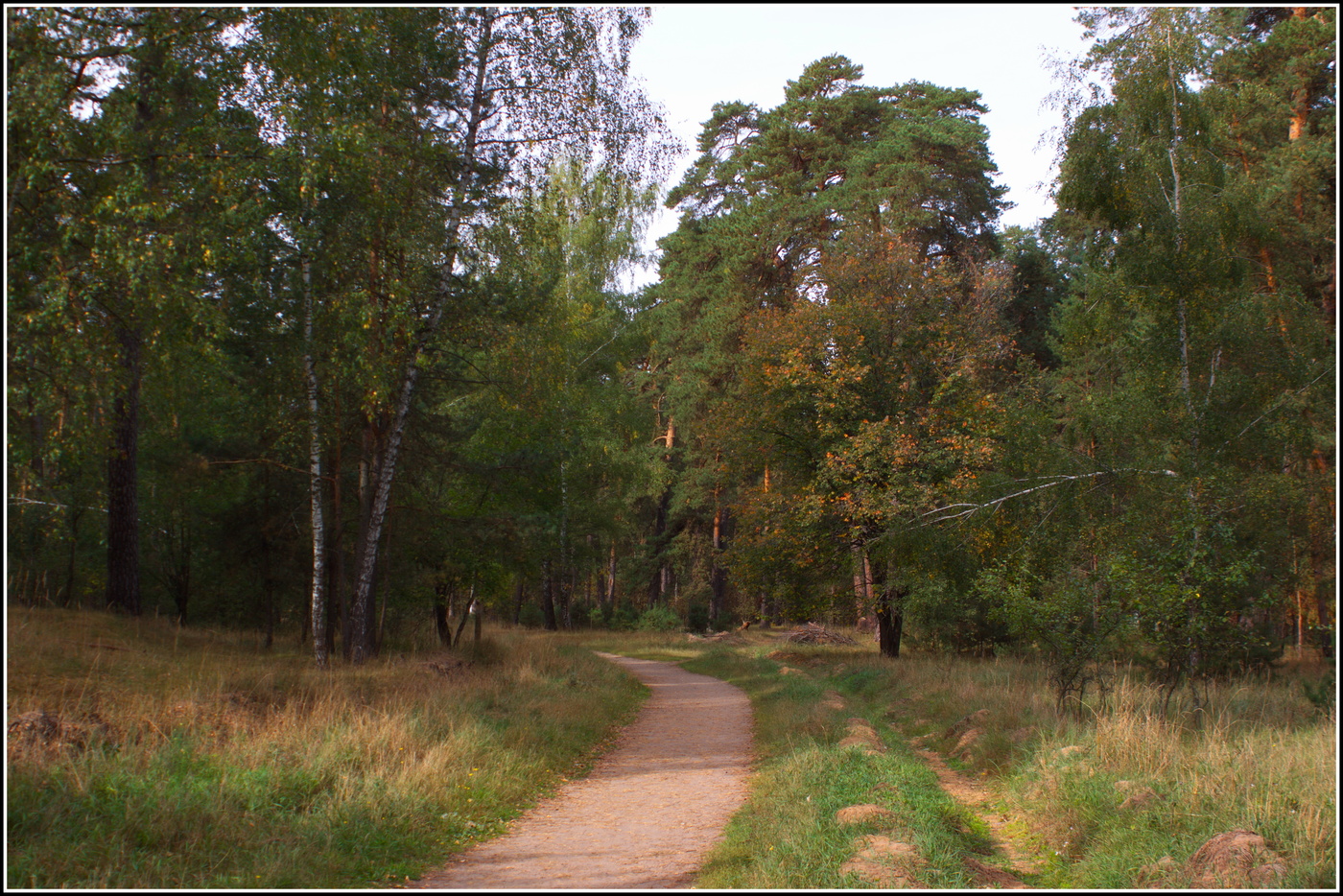 осенний мотив