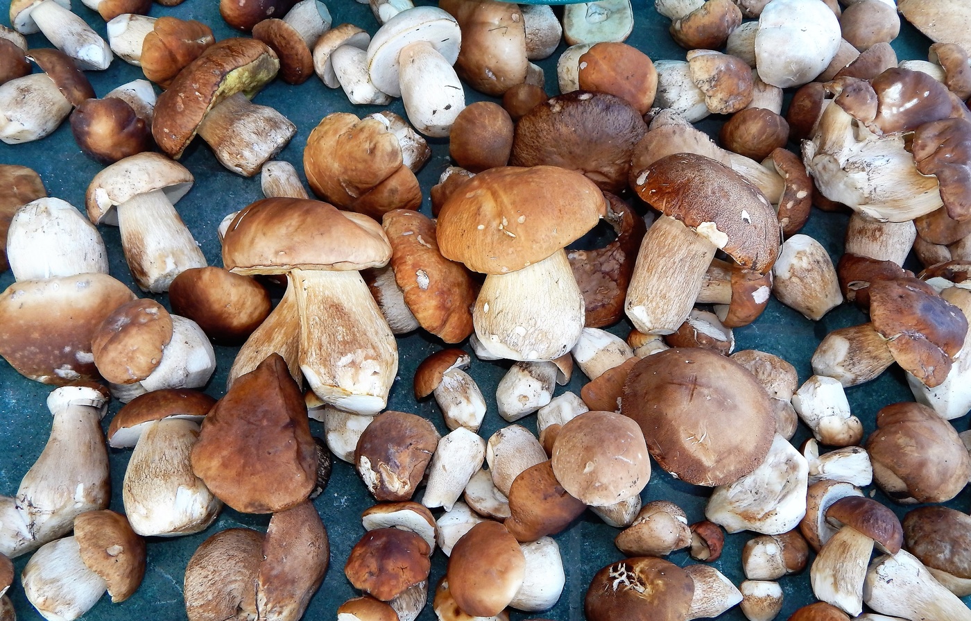 Три Богатыря.