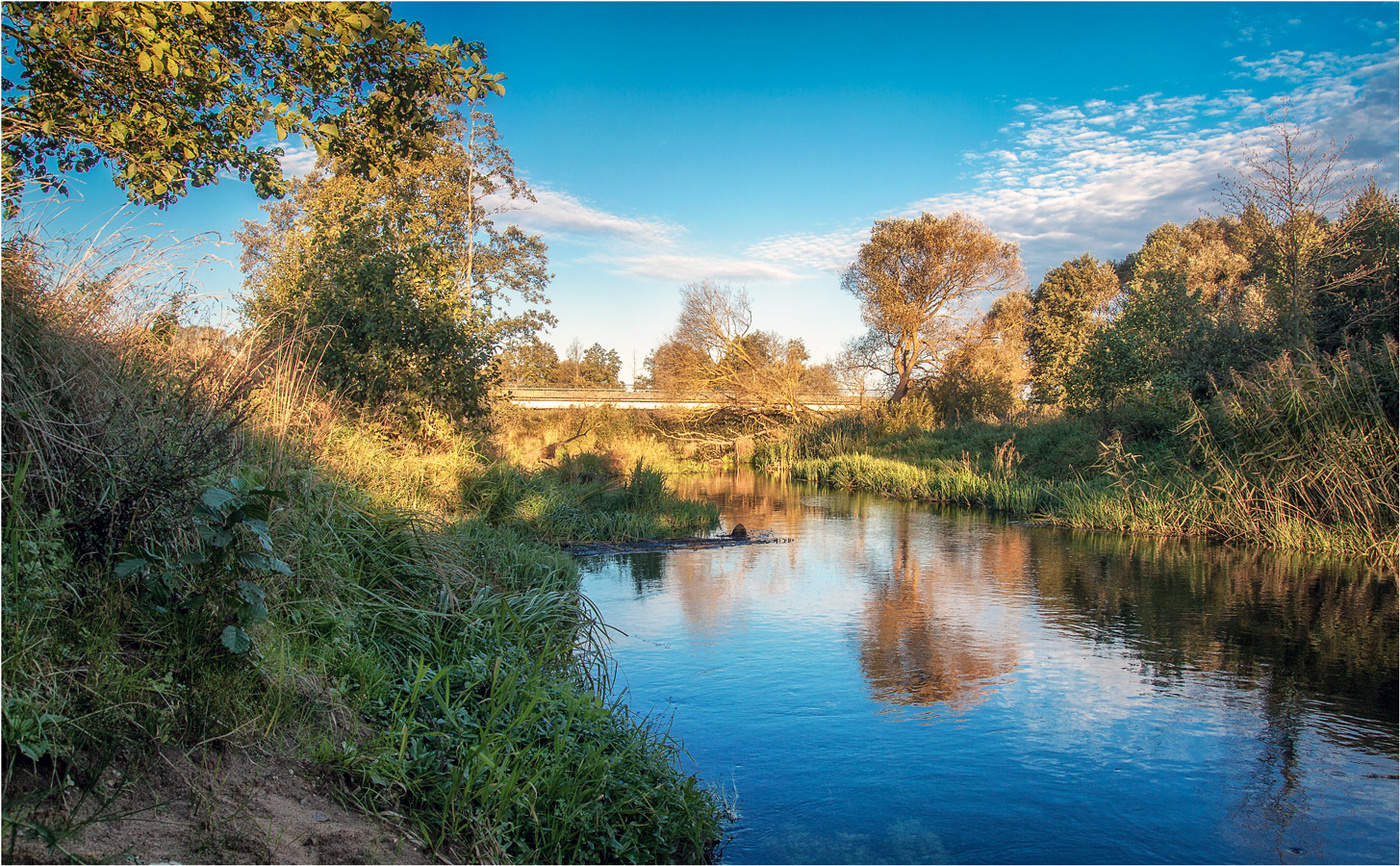 Мост через Птичь