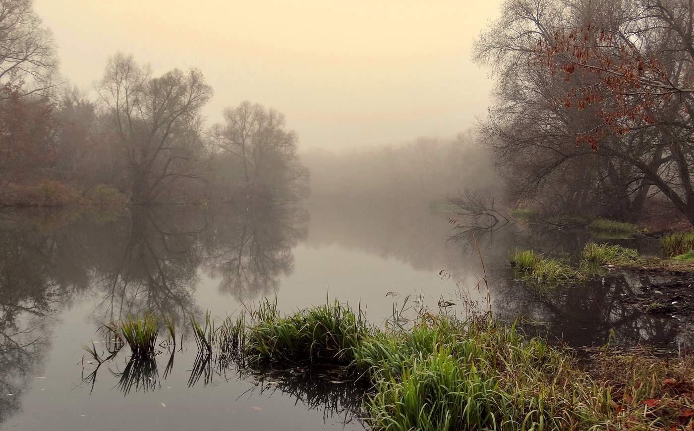 Туманный ноябрь