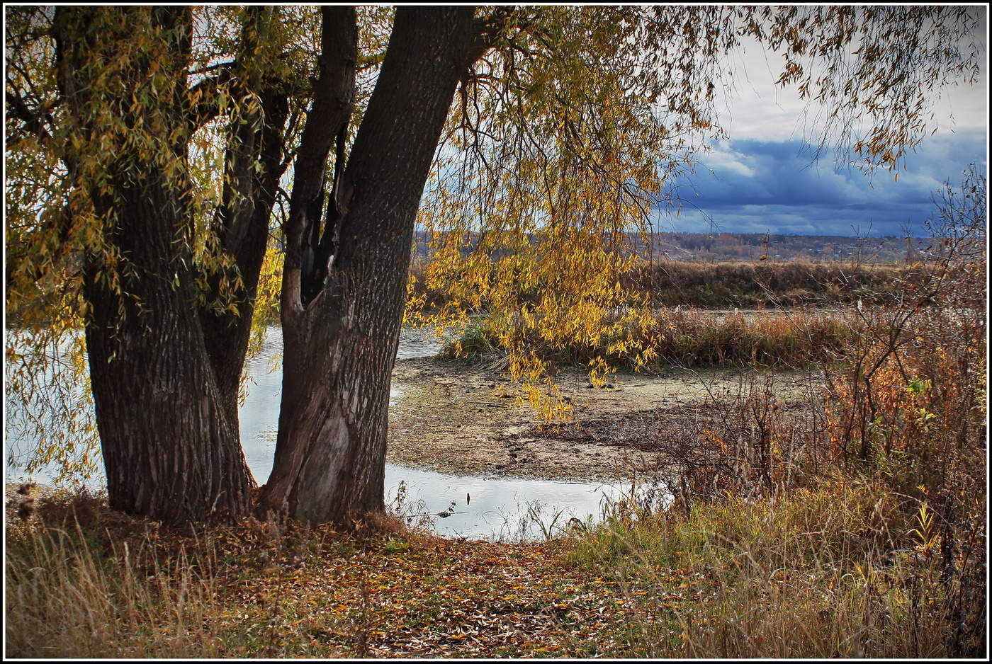 осенний этюд