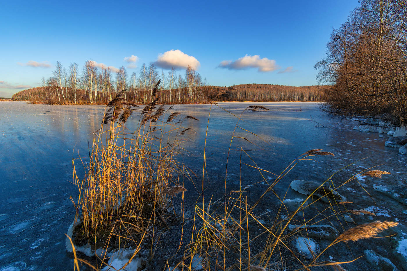 Островок осени