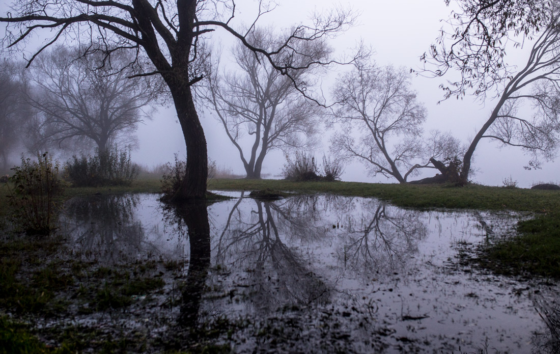 Танцы в тумане