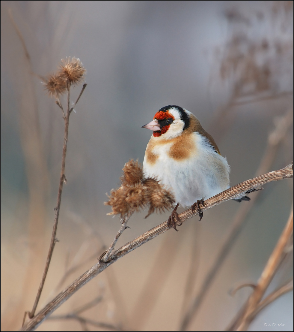 Захолодало