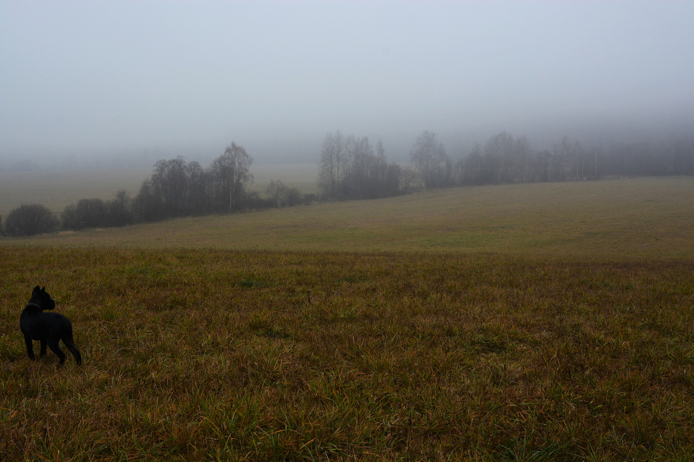 "Мы и заметить не успели, как осень скучная пришла..."