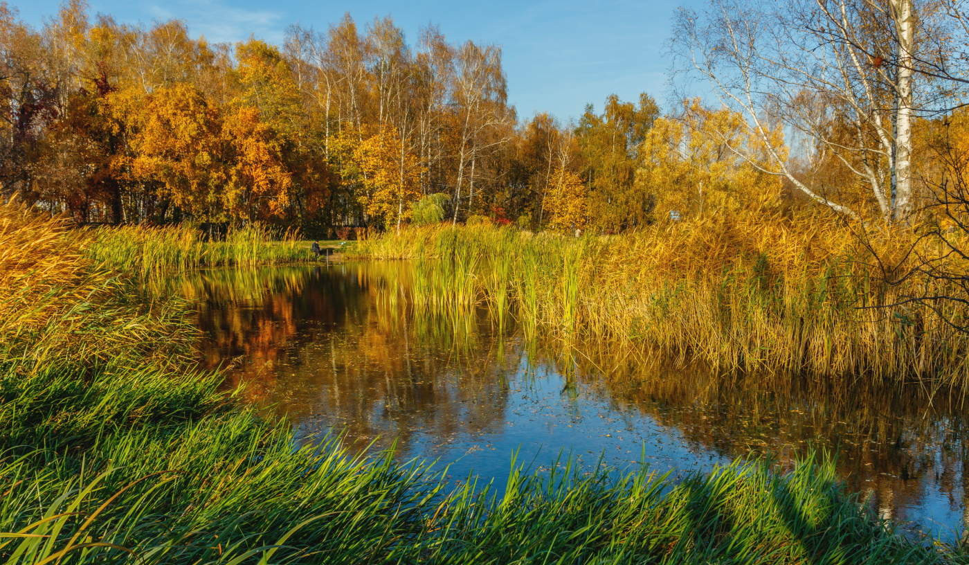 Воспоминание о прекрасной поре.
