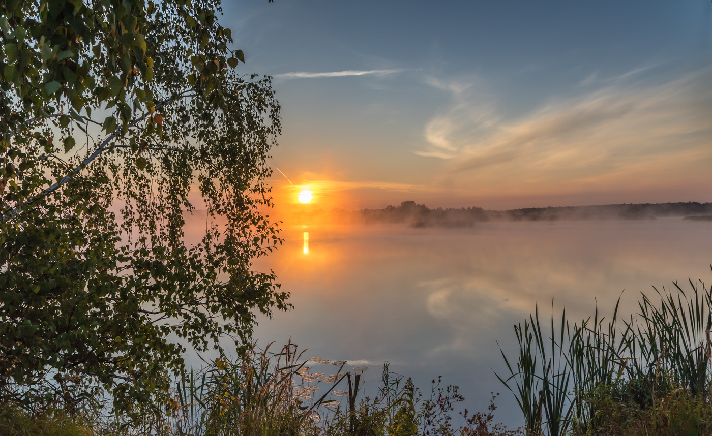 Туманное утро