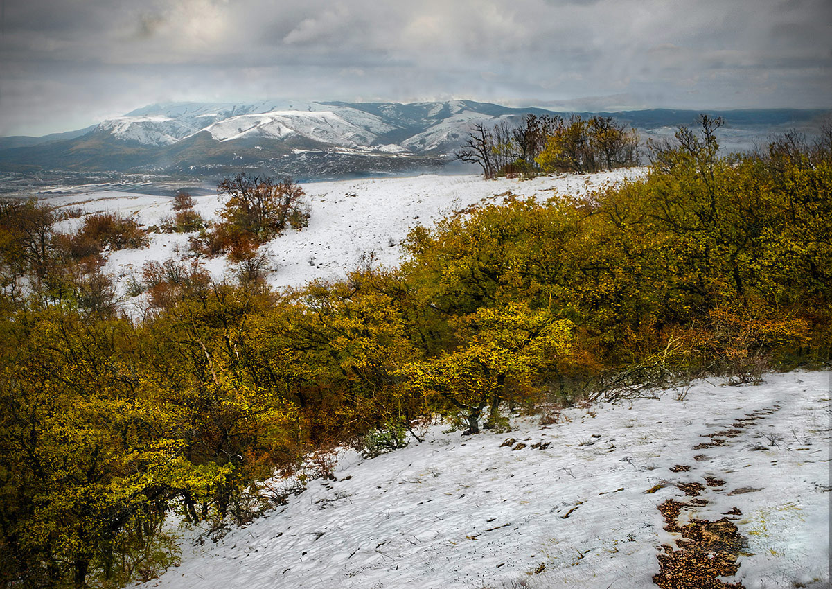 Зимний сюжет