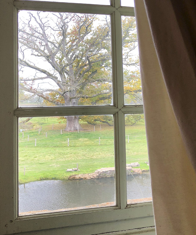 Окно в сад
