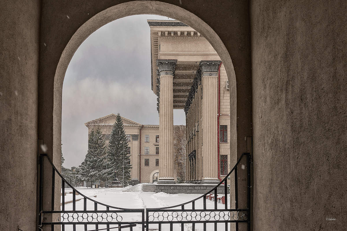 университет