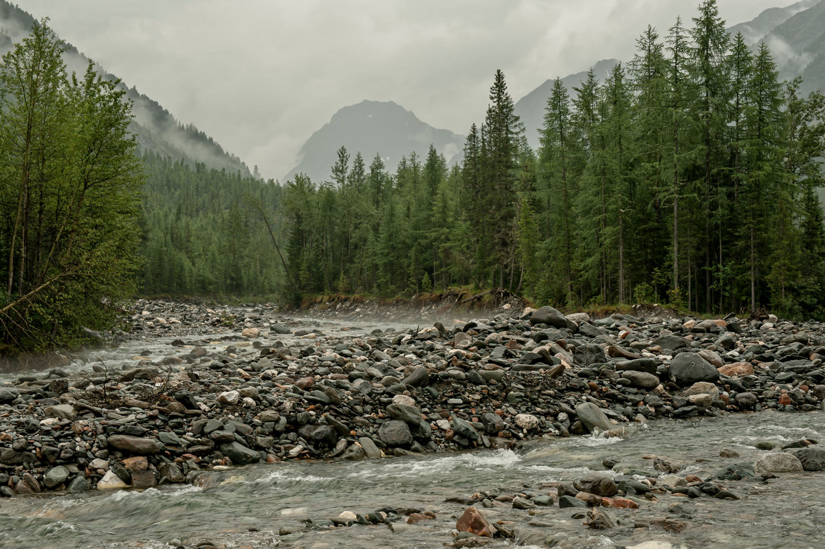 Обмелевший Шумак...
