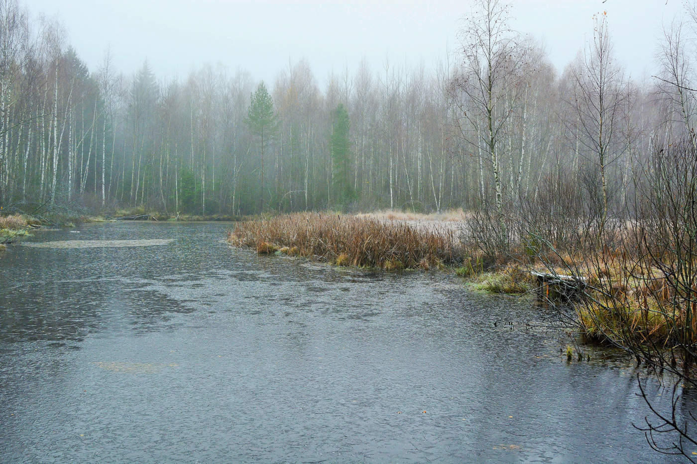 "В тот год осенняя погода стояла долго на дворе..."