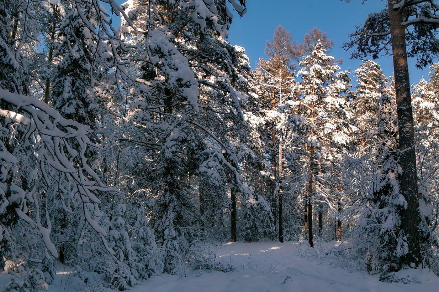 После снегопада.