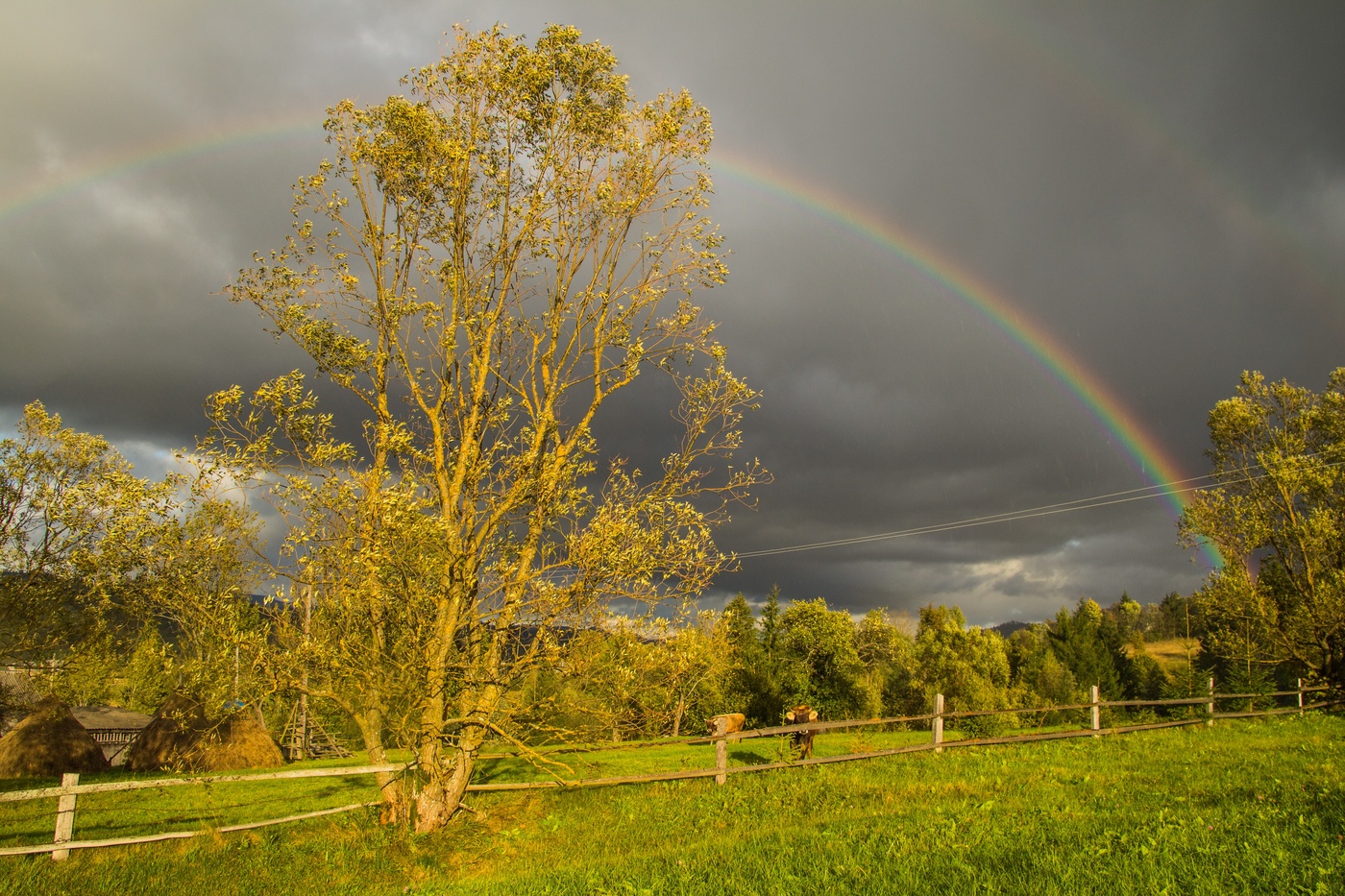 после дождя