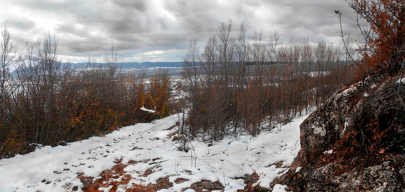 По первому снегу