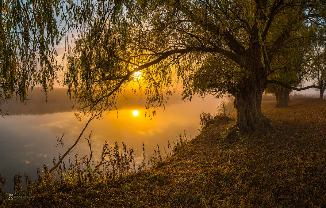 Из серии «Рассвет – будто живопись художника»