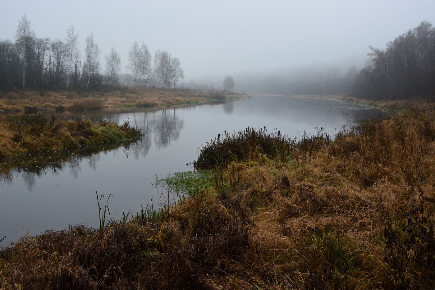 "Как увядающее мило ..."