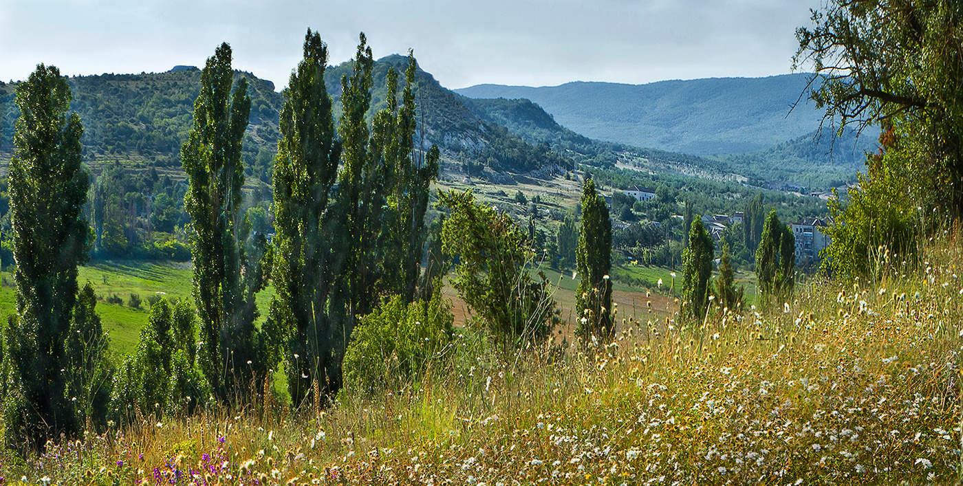 долина Красный Мак