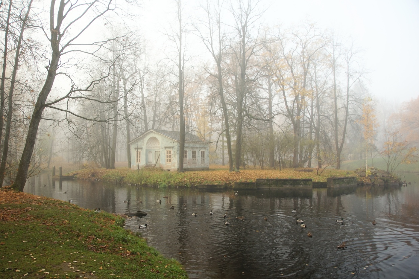 Детский пруд...