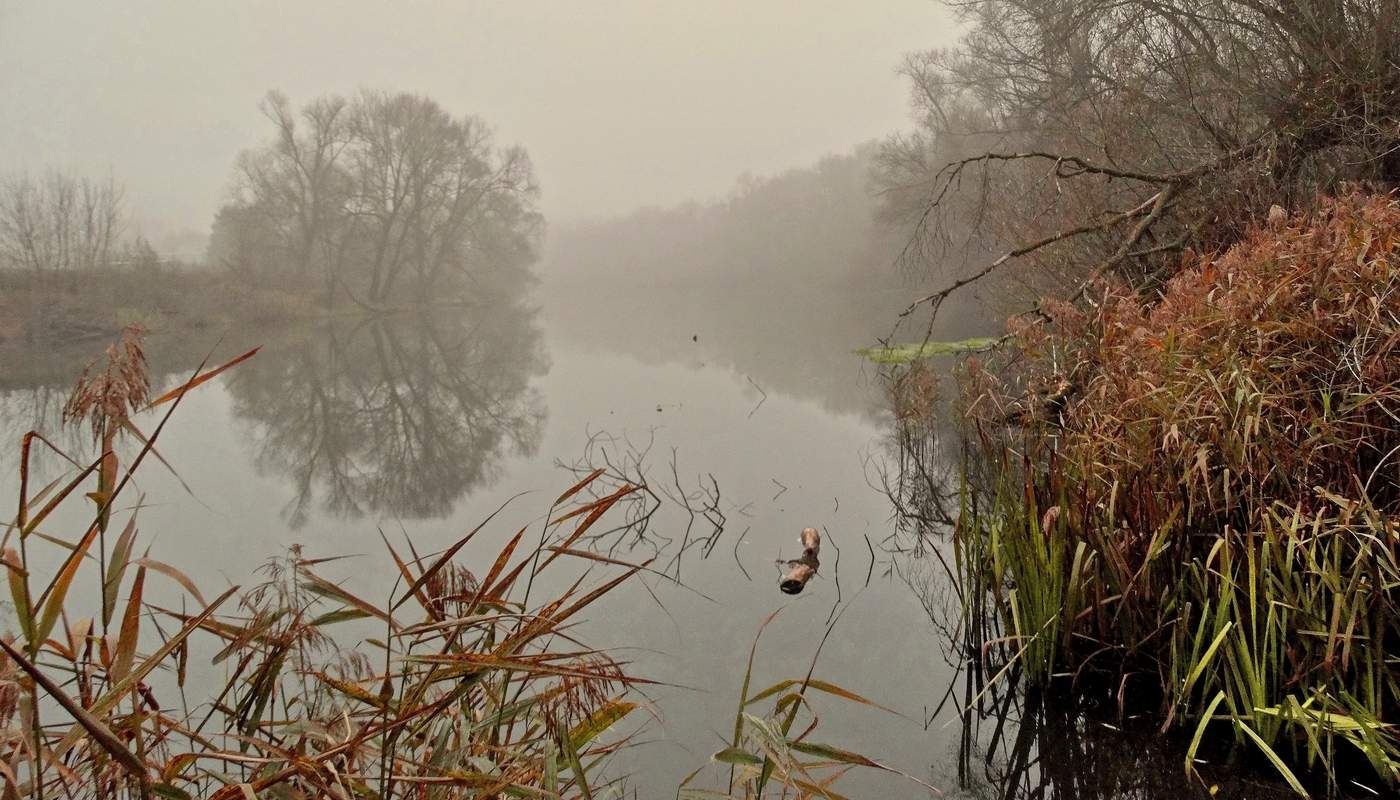Туманная осень