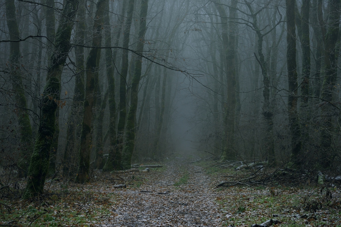 Поздняя осень