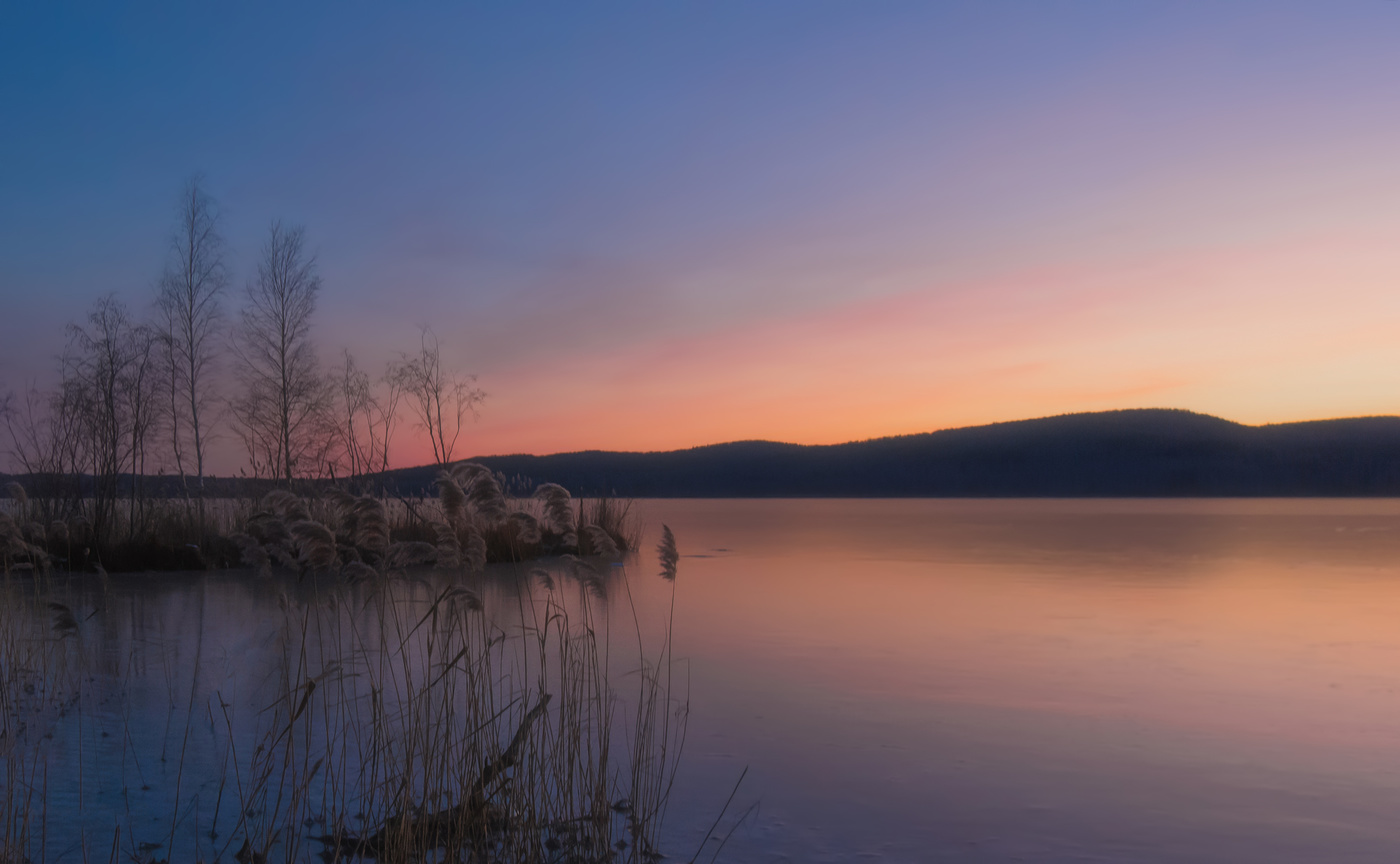 Розовое утро