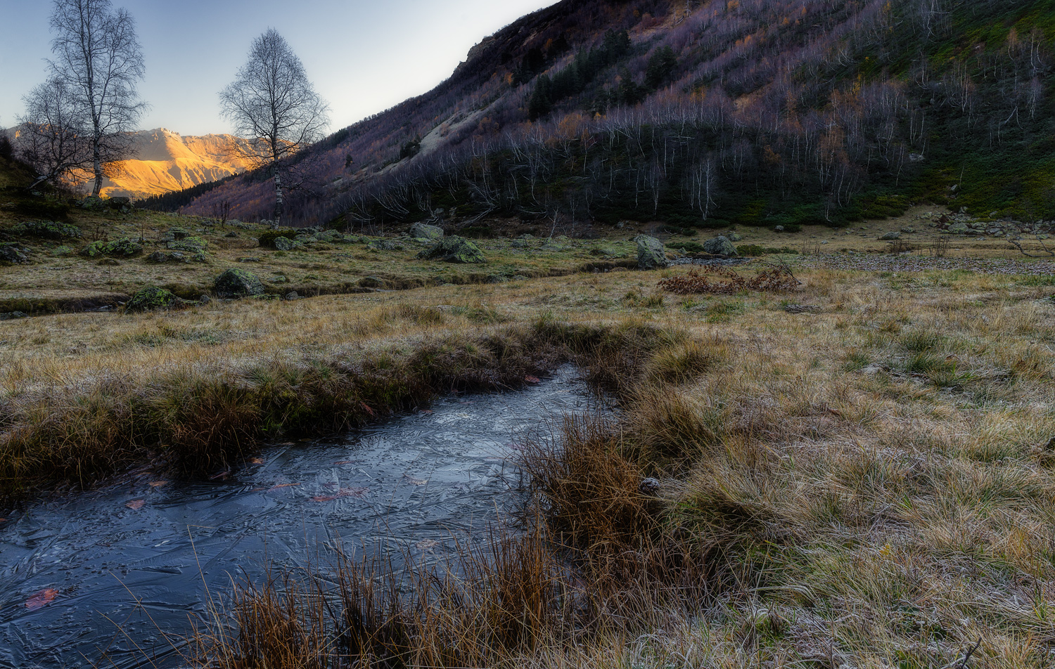 Первые заморозки