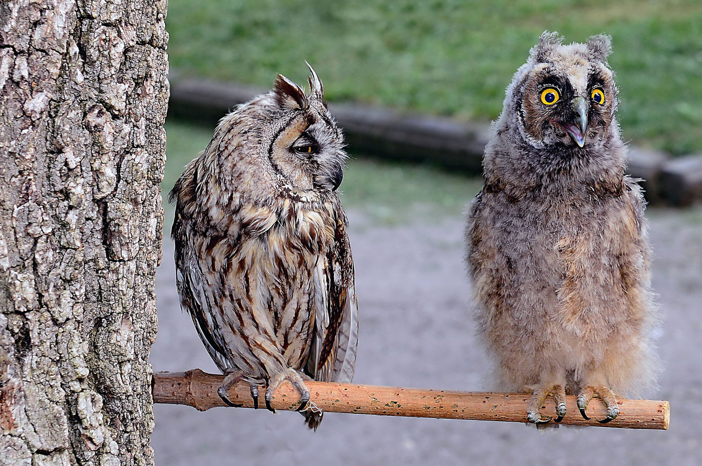 Внимание! Снимают!