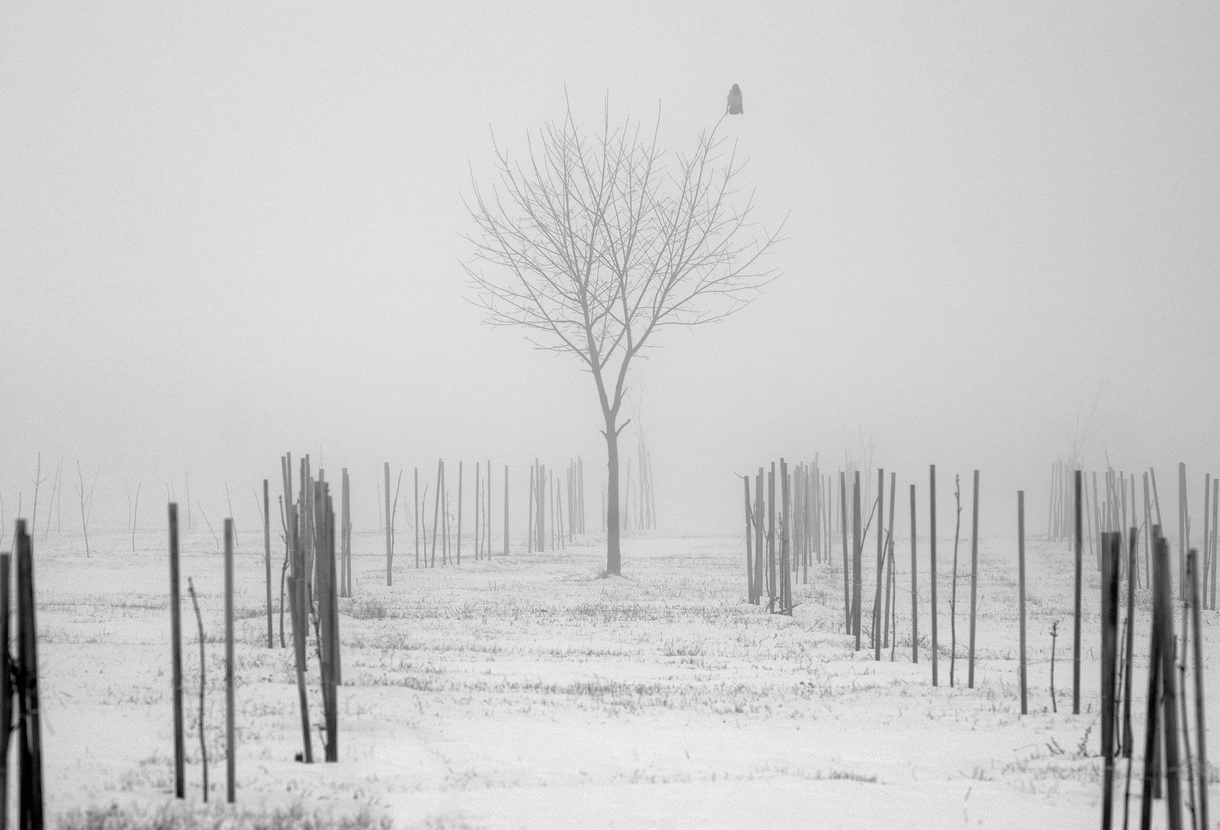 Контурные не карты