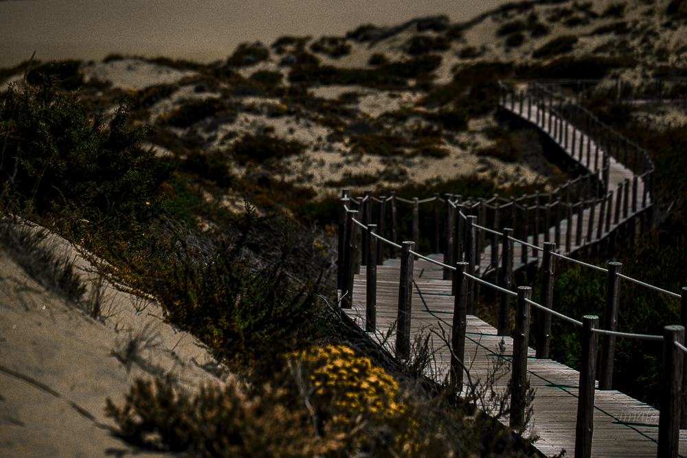 Контурные не карты