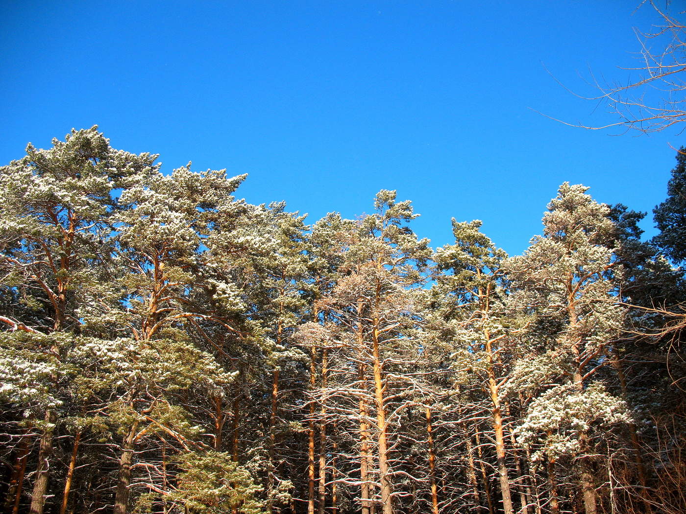 Контурные не карты