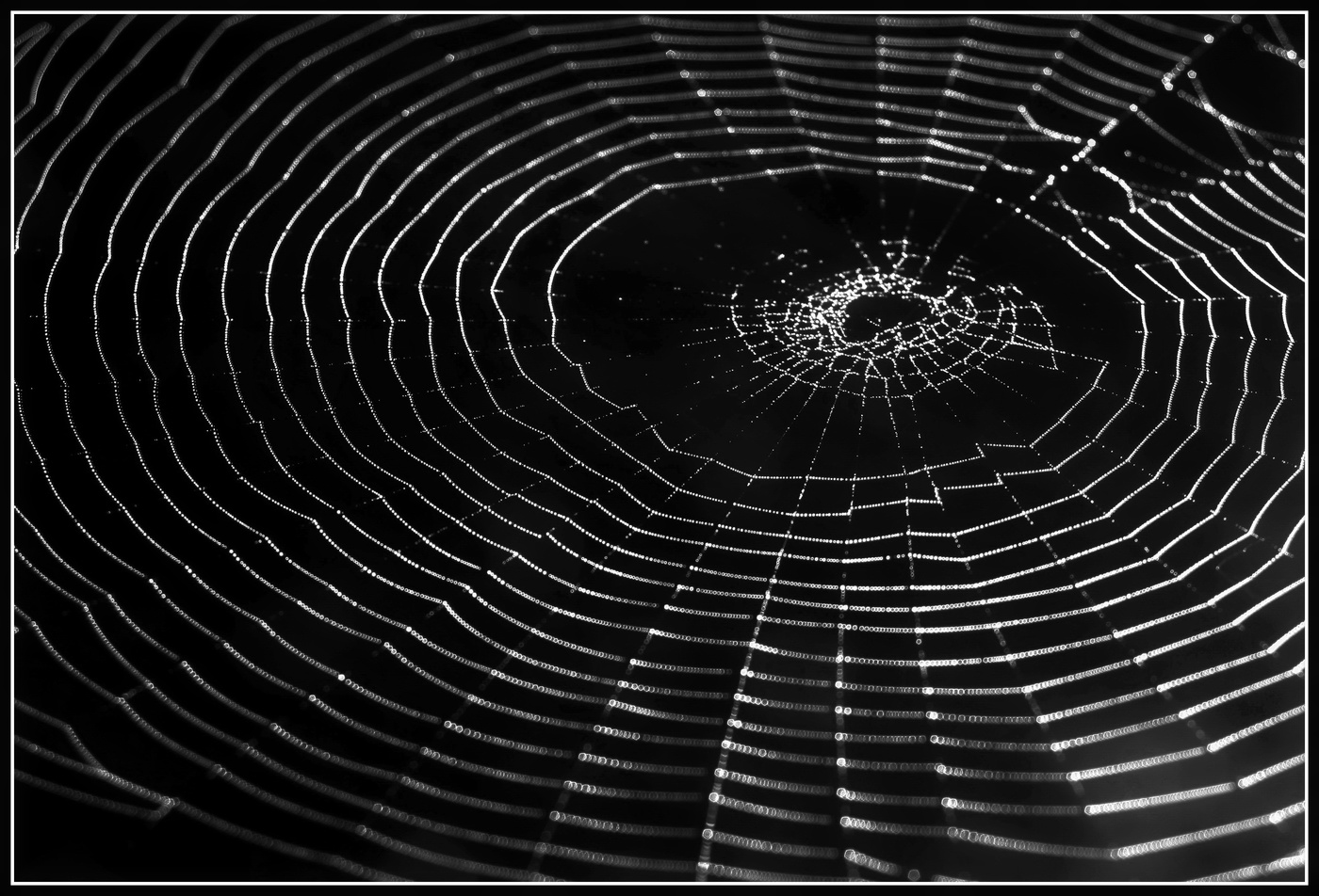 Контурные не карты