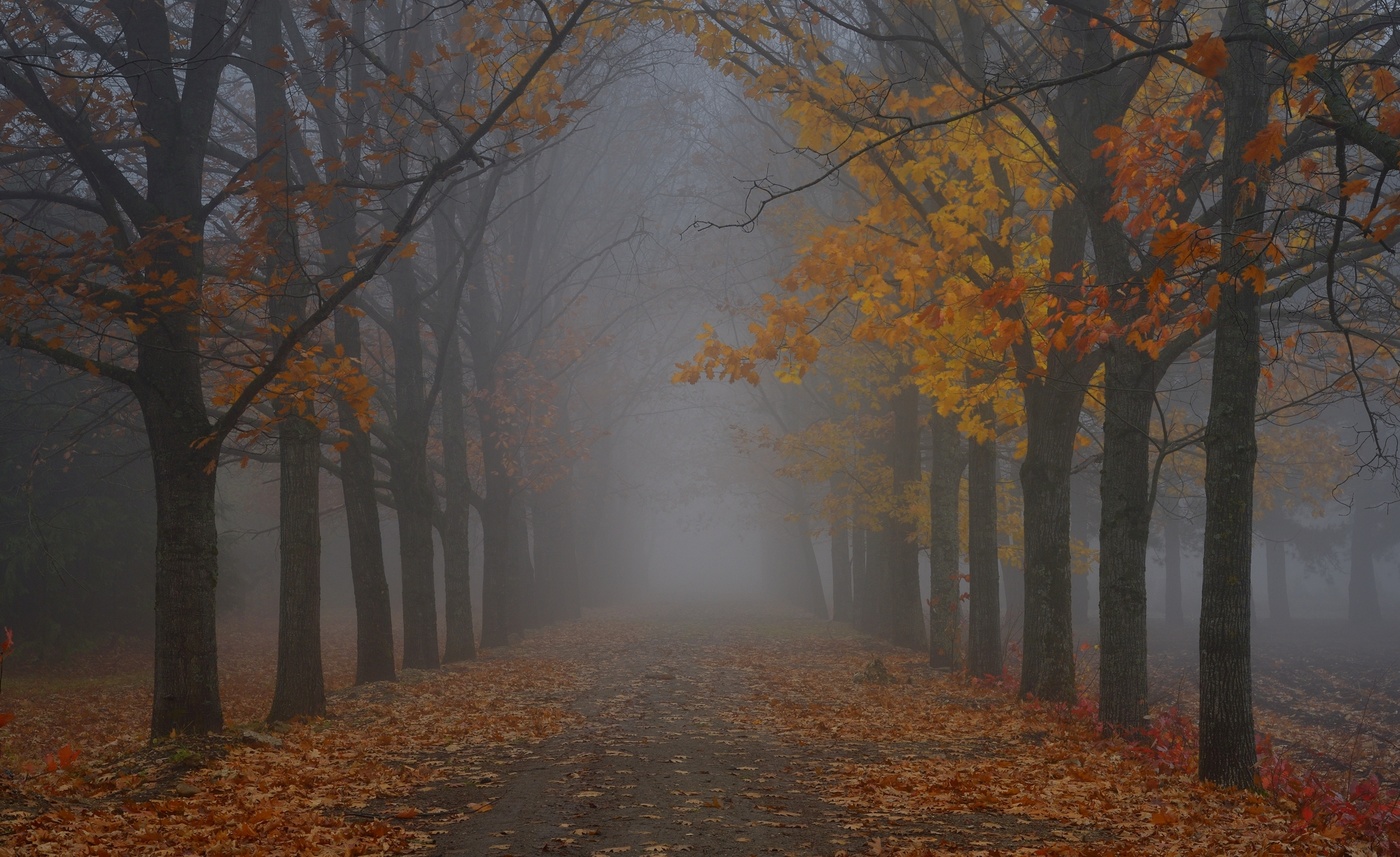 Осеннии аллеи