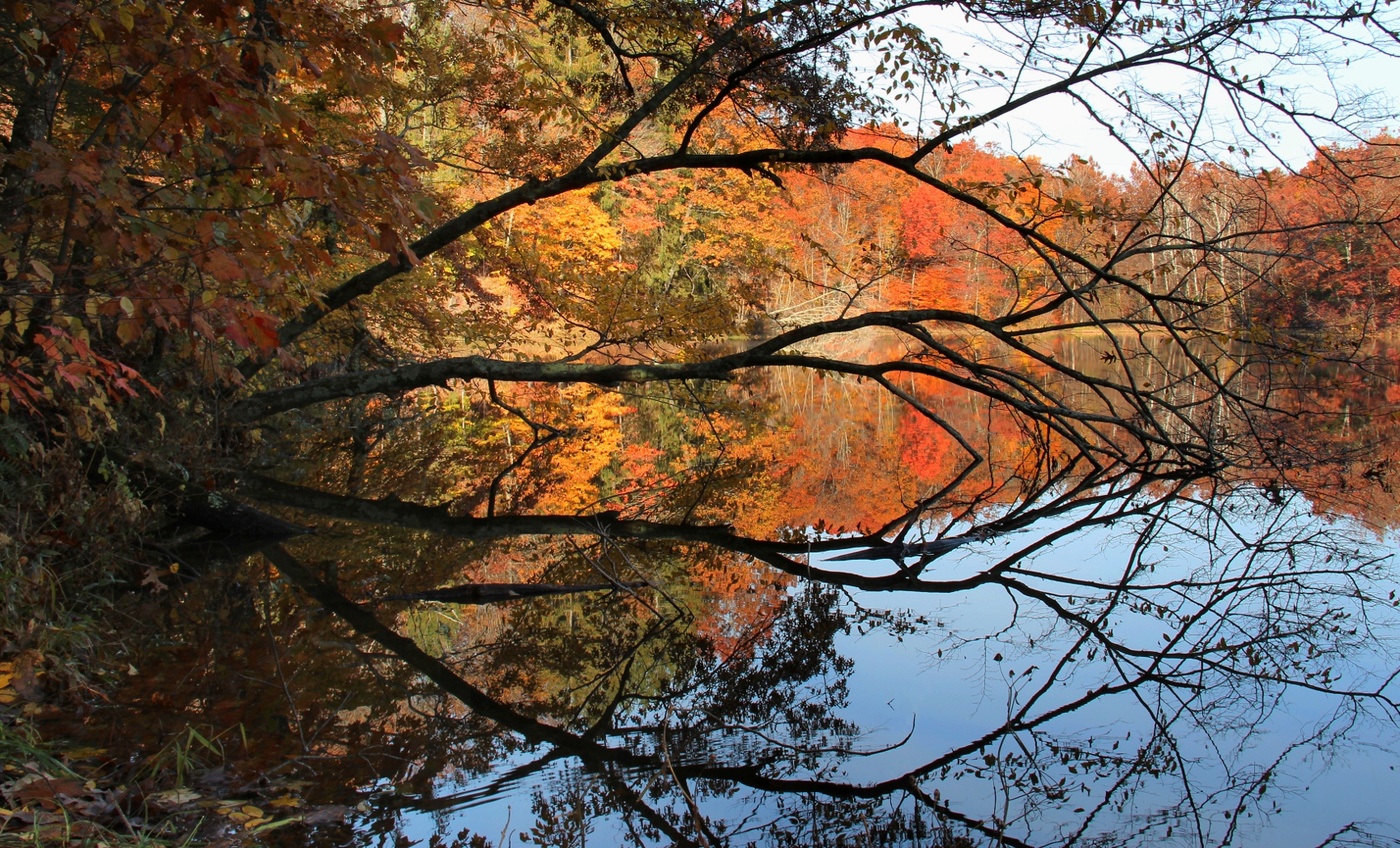 Контурные не карты