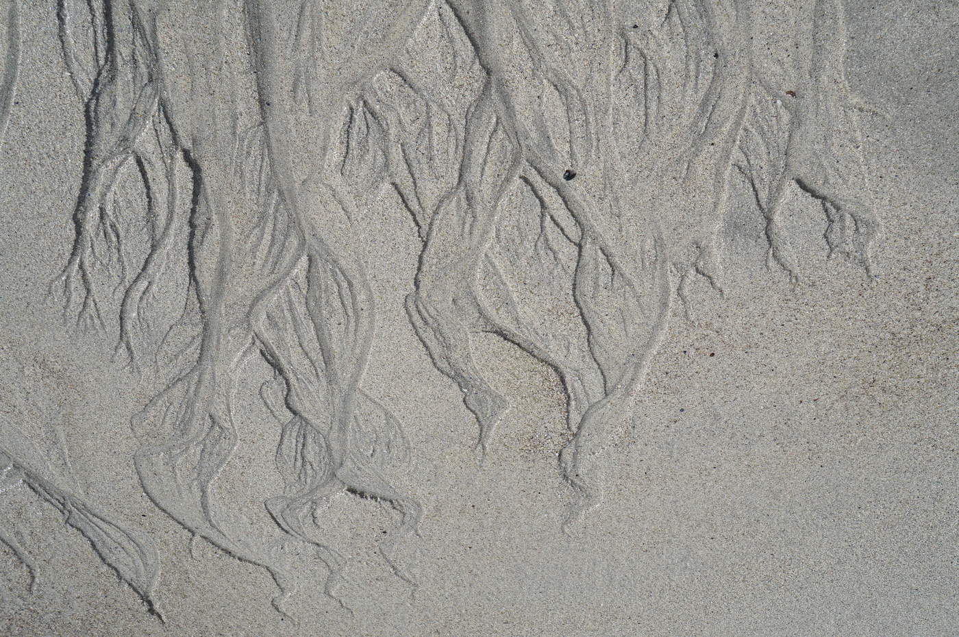 Контурные не карты