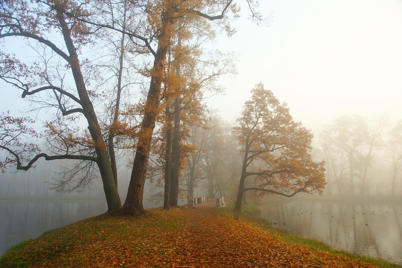 Грустное утро...